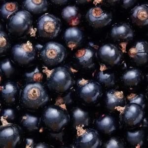 Grosella negra IQF