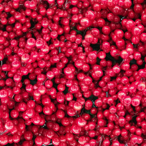 Grosella roja IQF