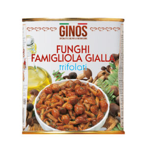 FUNGHI FAMIGLIOLA GIALLI TRIFOLATI